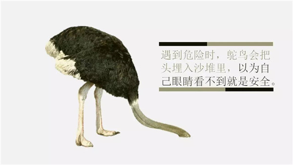 這6個(gè)詞，你誤解了任何一個(gè)，都能讓你錯(cuò)過“風(fēng)口”