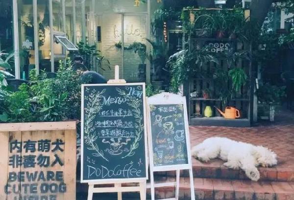 如何開家能賺錢的咖啡館？過來人是這樣算帳的...