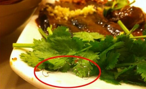 食客在餐廳吃到鋼絲，餐廳被判賠償食客206萬，并罰款686萬