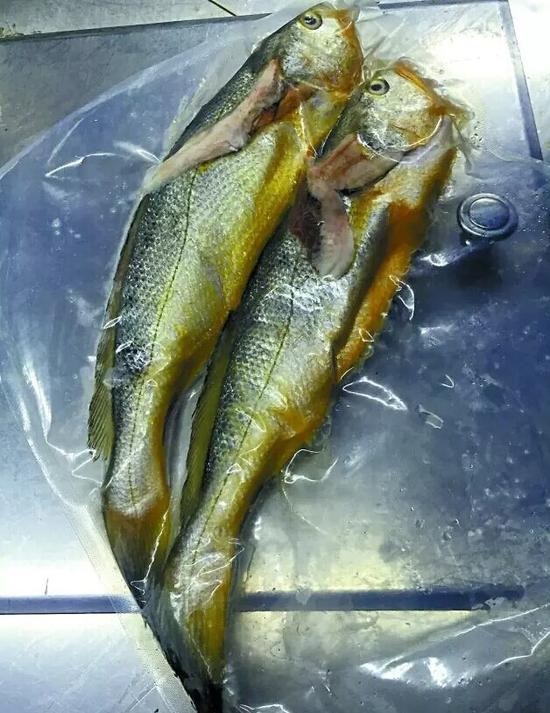 兩條小黃魚賣4628元：沒有菜牌，也沒有價格公示