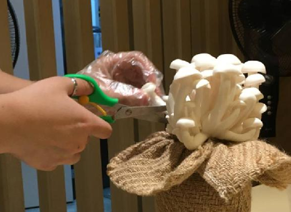 餐飲三巨頭的“爆品”玄機(jī)，其實(shí)就是4個(gè)字|餐飲界