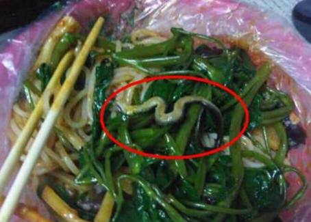震驚！廣西大學(xué)一螺螄粉店竟然吃出一條蛇！真相是？