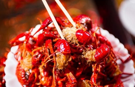 餐飲業(yè)存在很多的偶然性，別迷信成功學(xué)