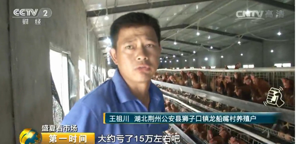 雞蛋價(jià)格跌跌不休！最低腰斬一半