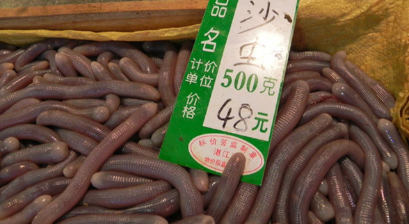 ?？谝徊蛷d沙蟲被食客質(zhì)疑不干凈 食藥監(jiān)：沒毛病