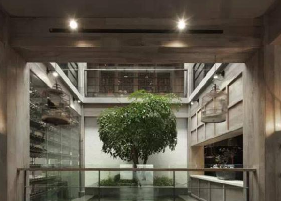餐廳運用上這些植物裝飾，格調(diào)空間立馬不同