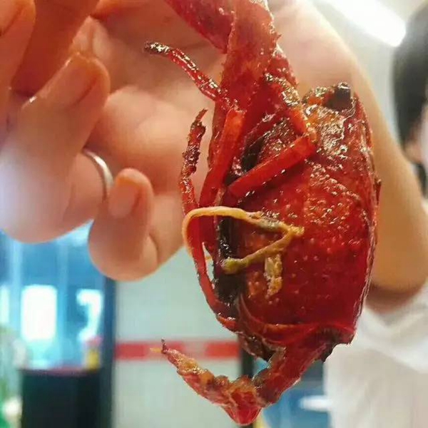 帝都當紅小龍蝦測評：誰家的“麻小”在說謊？|餐飲界