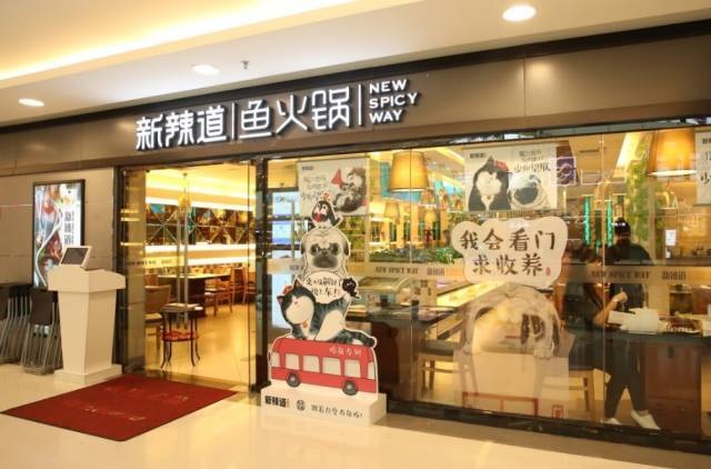 破局傳統(tǒng)營銷思維，看新辣道如何跨界&借勢瘋狂圈粉？ | 案例
