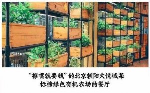 但凡說紙巾要2元的餐廳，我不會去第二次！|餐飲界