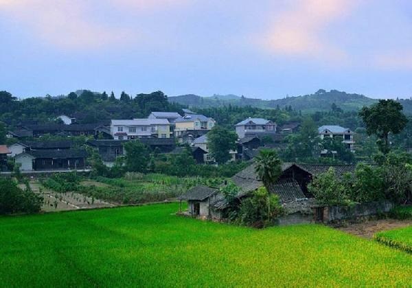 城市水太深，回鄉(xiāng)開(kāi)餐廳？看完這篇你再做決定……