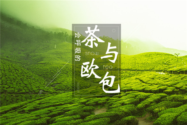 9個(gè)月開600家店，漫雪的茶憑啥攻占全國(guó)市場(chǎng)？|餐飲界