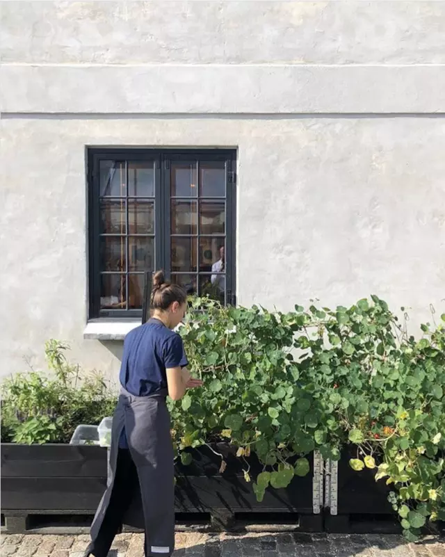 全球最佳餐廳Noma開放明年預訂，內(nèi)容是上半年的海鮮季