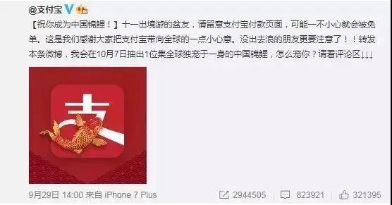 “錦鯉”火了，為什么我不建議跟風(fēng)蹭這個(gè)大熱點(diǎn)？