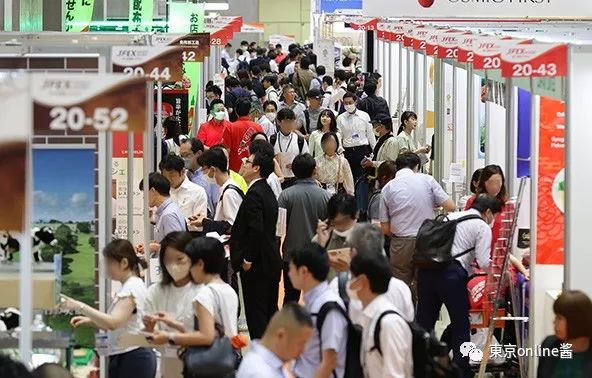 江西天凱樂首秀日本國際食品展，椰子灰冰淇淋榮獲JFEX AWARDS金獎(jiǎng)！