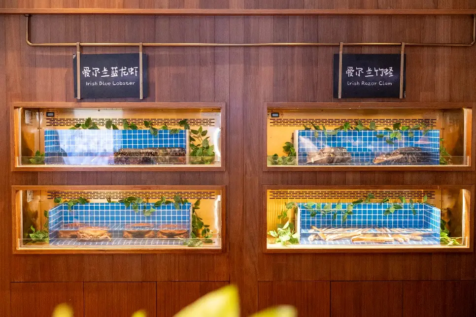 愛爾蘭農(nóng)業(yè)、食品及海事部部長帶團訪華并走訪上海的“愛爾蘭海鮮集市”